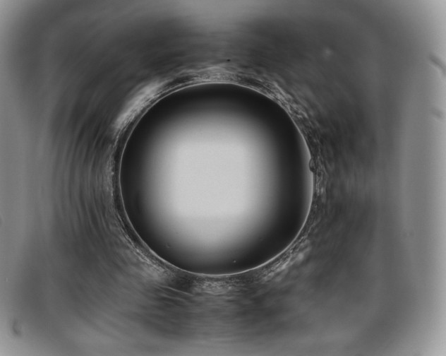 X0000096670341200802051228