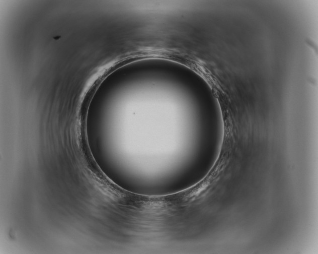 X0000096670342200802051228