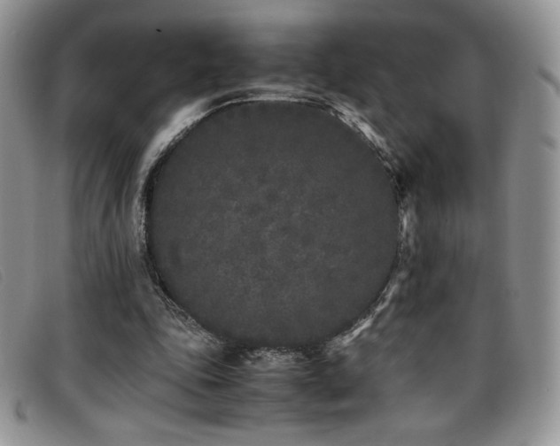 X0000096670343200802051228
