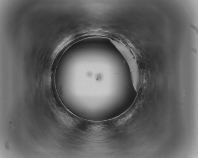 X0000096670344200802051228