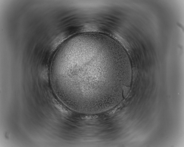 X0000096670345200802051228