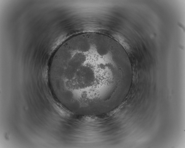 X0000096670346200802051228