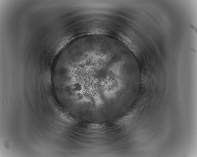 X0000096670347200802051228