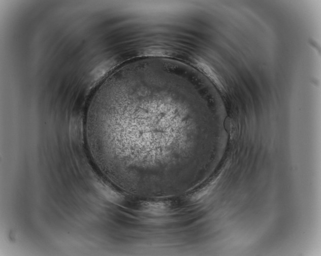 X0000096670349200802051228