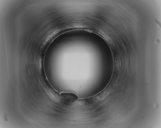 X0000096670350200802051228