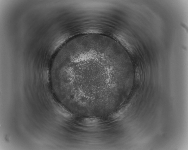 X0000096670351200802051228