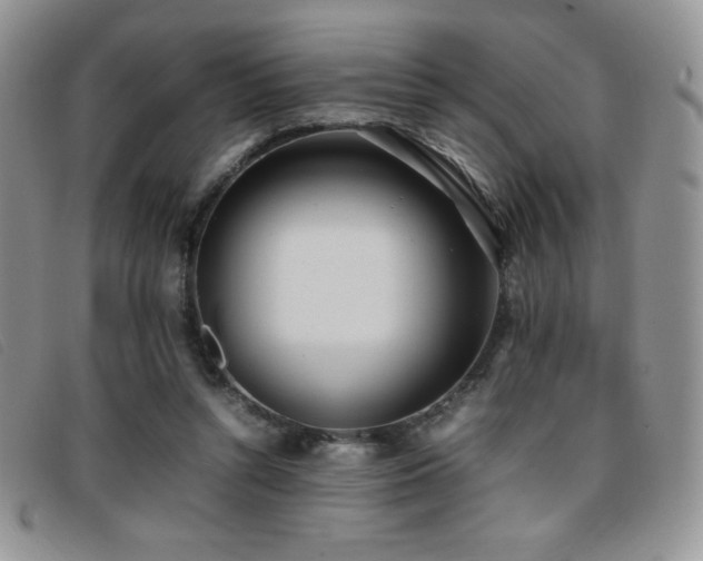 X0000096670352200802051228