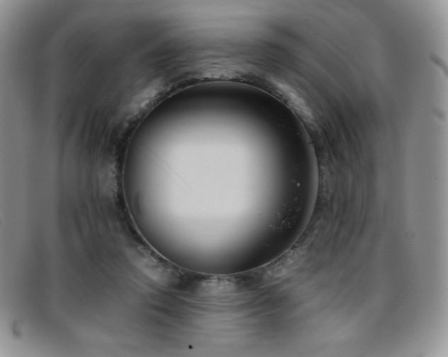 X0000096670354200802051228