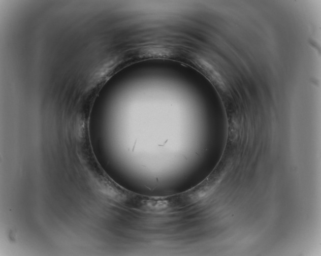 X0000096670355200802051228