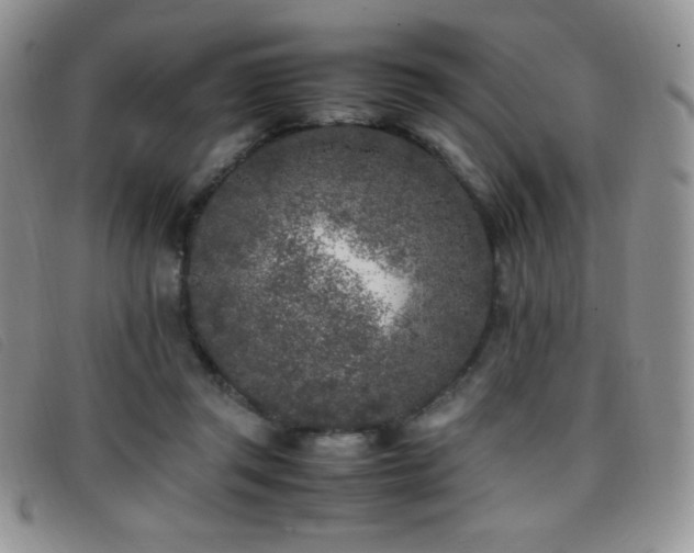 X0000096670357200802051228