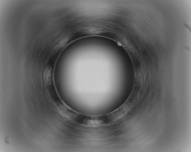 X0000096670360200802051228