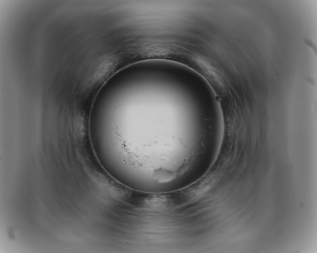 X0000096670362200802051228