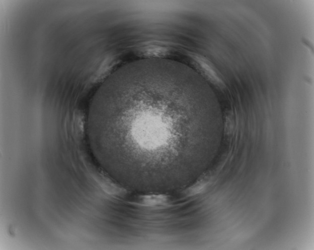 X0000096670363200802051228