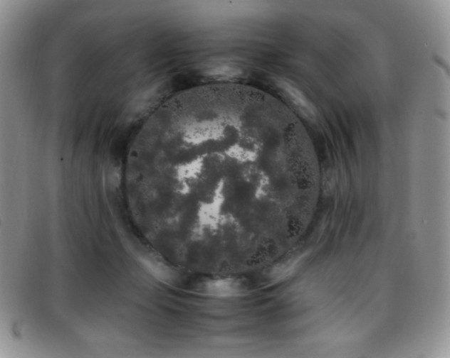 X0000096670365200802051228
