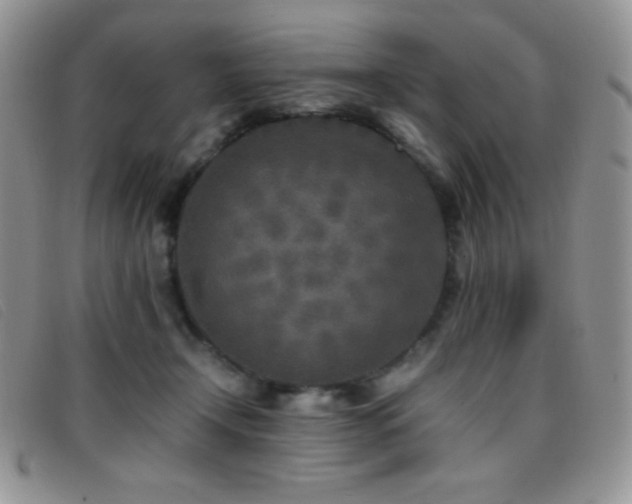 X0000096670366200802051228