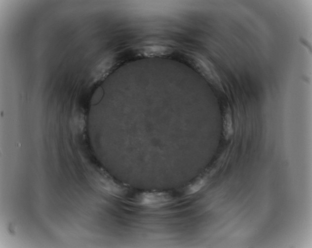 X0000096670367200802051228