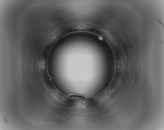 X0000096670368200802051228