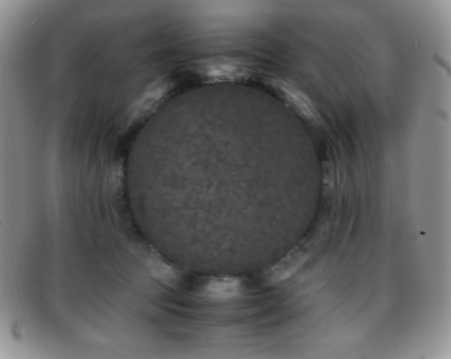 X0000096670369200802051228