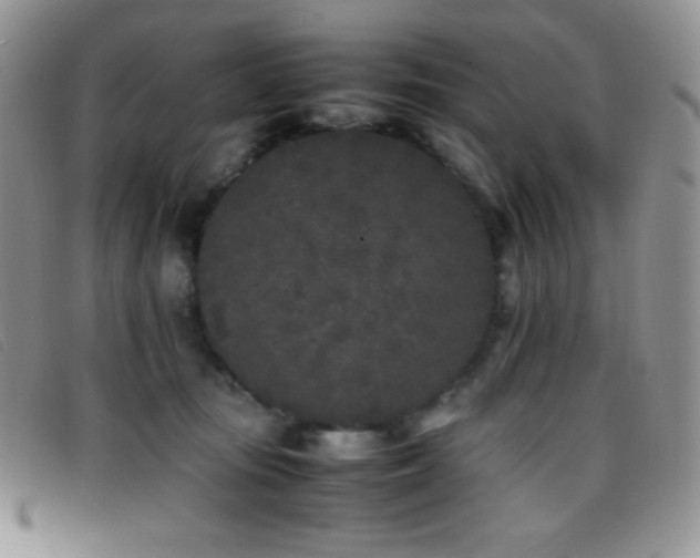 X0000096670371200802051228
