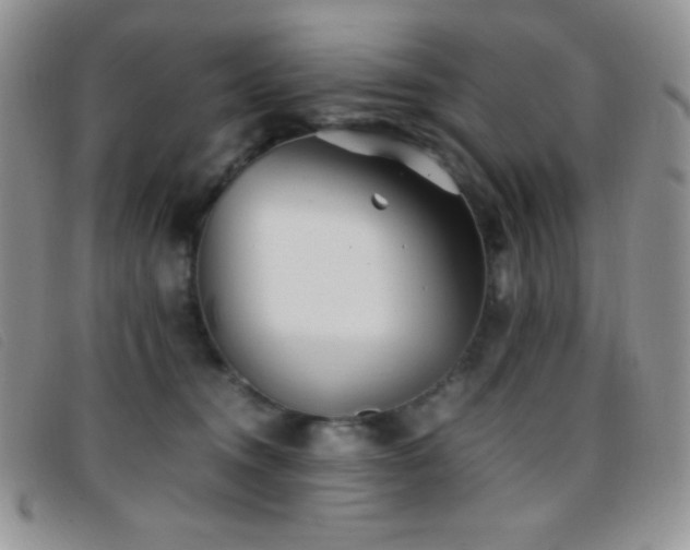 X0000096670372200802051228