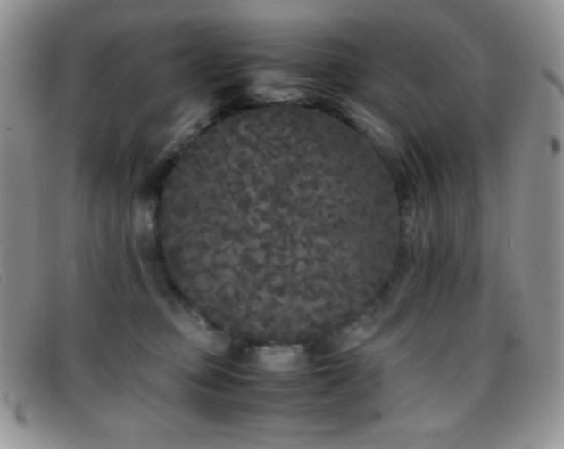 X0000096670373200802051228