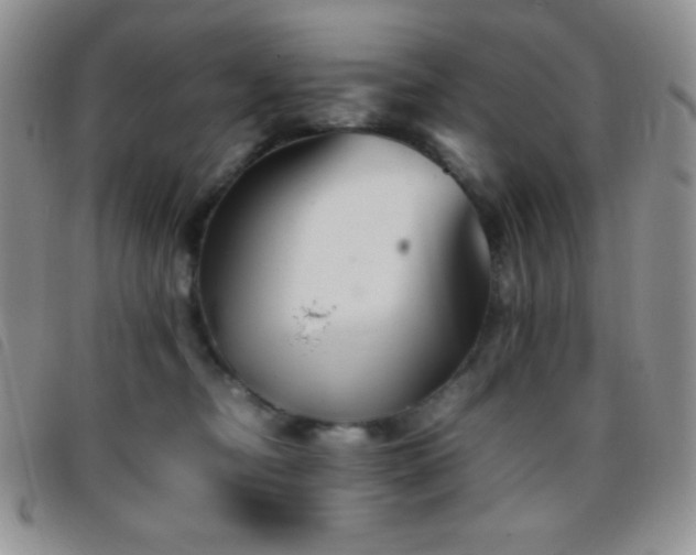 X0000096670374200802051228