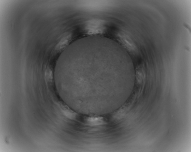 X0000096670375200802051228