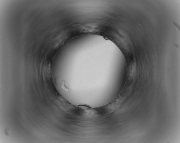 X0000096670376200802051228