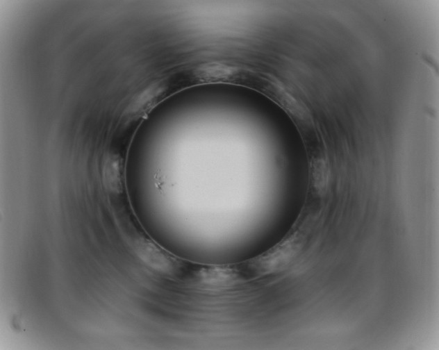 X0000096670378200802051228