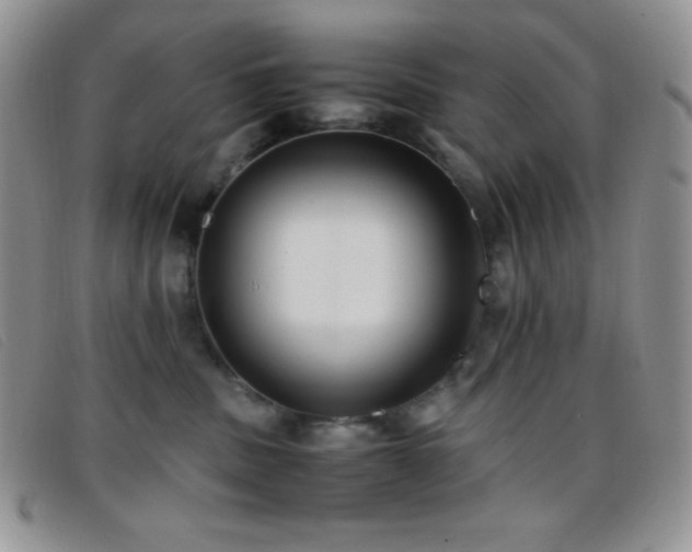 X0000096670379200802051228