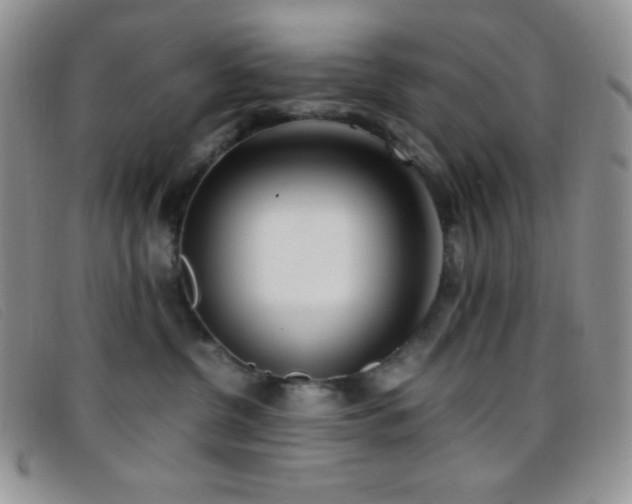 X0000096670380200802051228