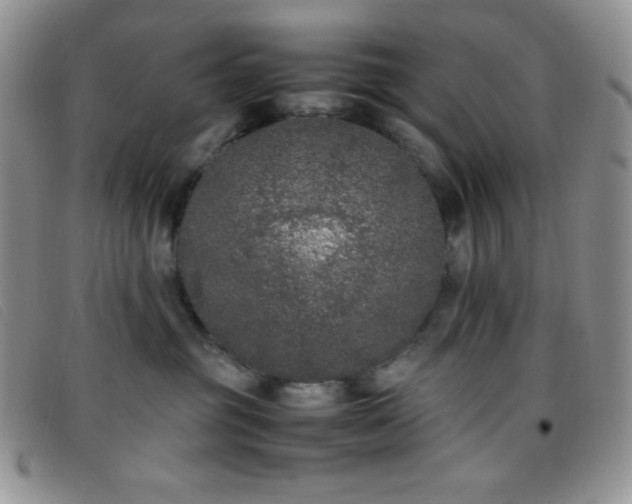 X0000096670381200802051228