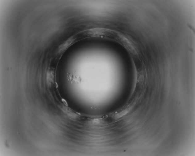 X0000096670382200802051228