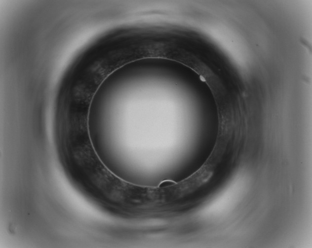 X0000096670383200802051228