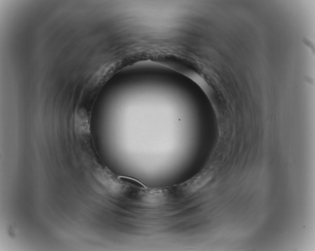 X0000096670384200802051228