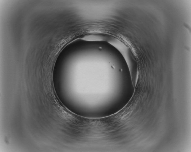 X0000096670385200802051228