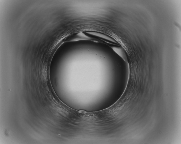 X0000096670386200802051228