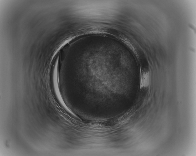 X0000096670387200802051228