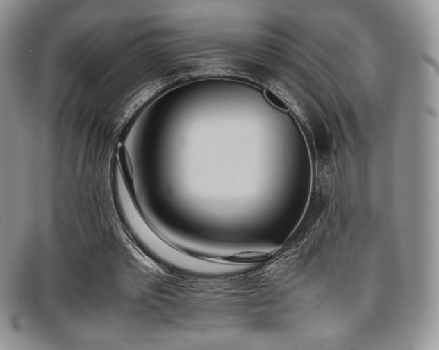 X0000096670389200802051228