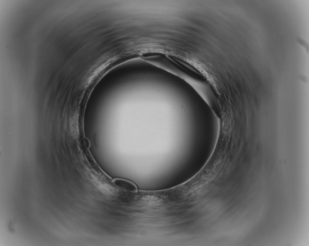 X0000096670390200802051228