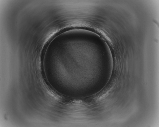 X0000096670391200802051227