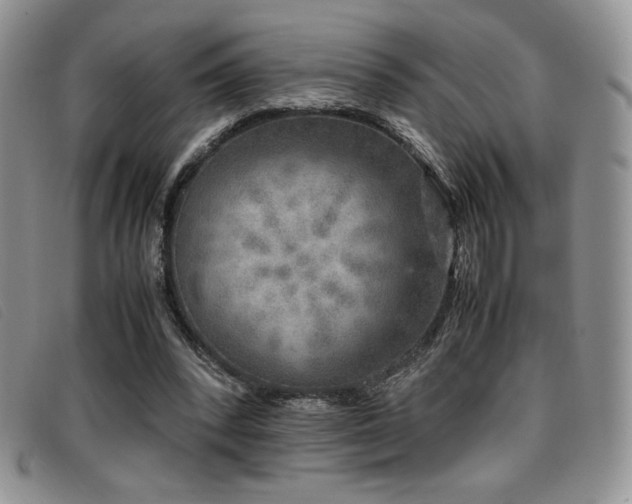 X0000096670392200802051227