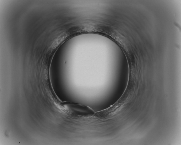X0000096670393200802051227