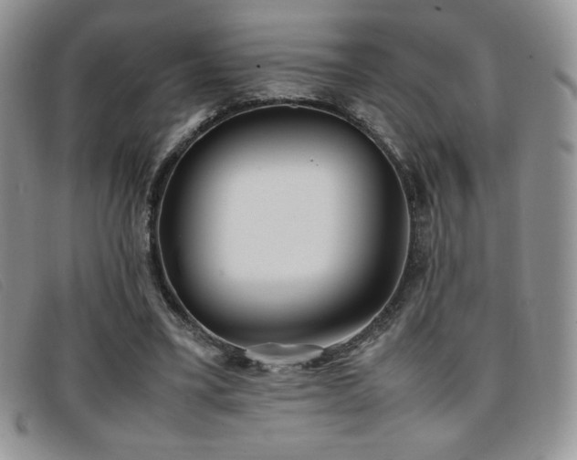 X0000096670395200802051227