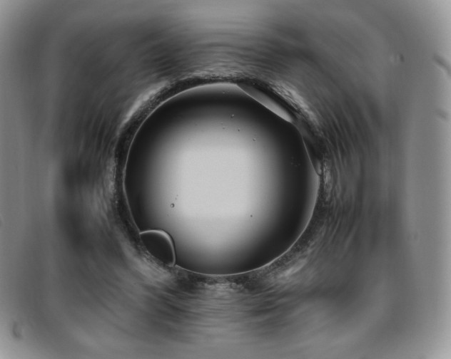 X0000096670396200802051227