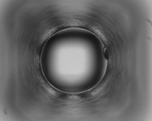 X0000096670397200802051227