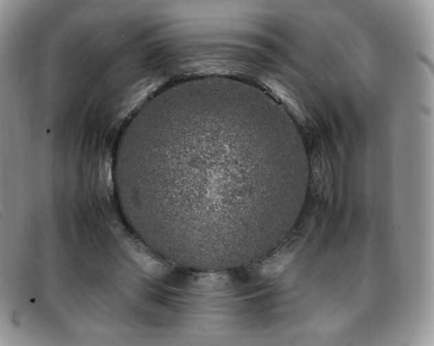 X0000096670398200802051227