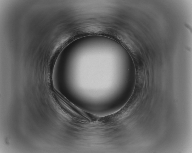 X0000096670399200802051227