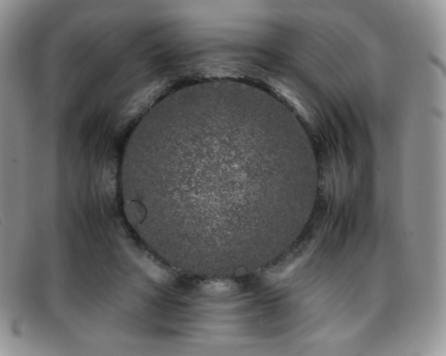 X0000096670402200802051227