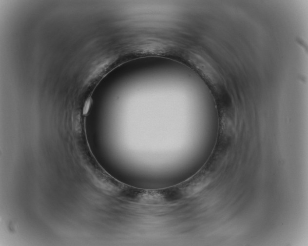 X0000096670403200802051227